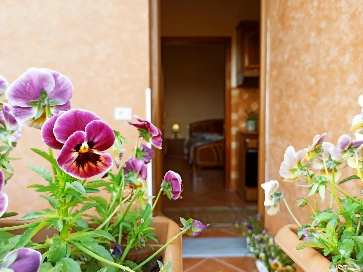 The Garden Guest House Divjake 0*,