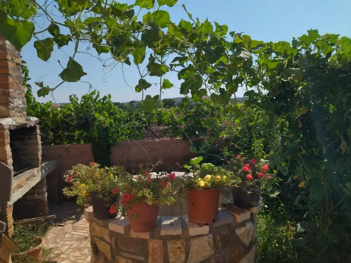 The Garden Guest House Divjake