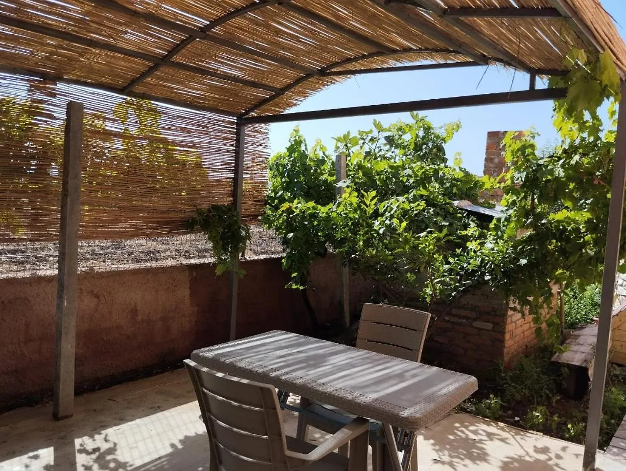 Apartment The Garden Guest House Divjake